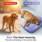 🎁Last Day Promotion 49% OFF🔥Pet Cooling Mat for Dogs & Cats 🐾  Naturally Cool Ice-Silk Pad • Breathable, Washable & Soft 🌿  For Floors, Sofas & Car Travel • Multiple Sizes • Gradient Colours ☀️🐶🐱