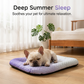 🎁Last Day Promotion 49% OFF🔥Pet Cooling Mat for Dogs & Cats 🐾  Naturally Cool Ice-Silk Pad • Breathable, Washable & Soft 🌿  For Floors, Sofas & Car Travel • Multiple Sizes • Gradient Colours ☀️🐶🐱