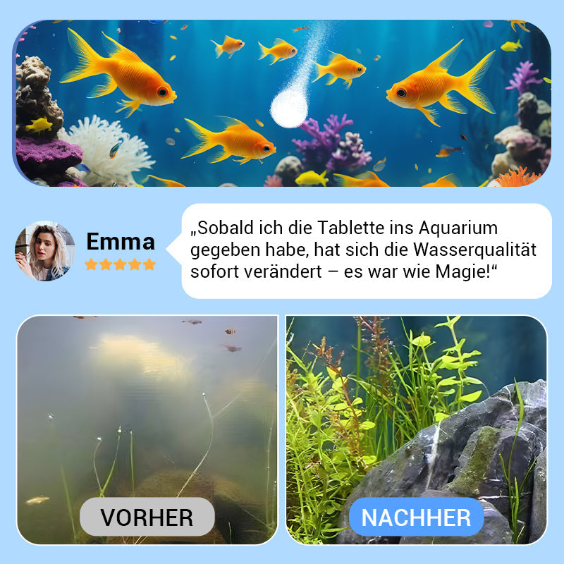 💥Heißer Verkauf 50% Rabatt♻️Kaufe 2, Erhalte 3 Gratis💧Leistungsstarke Wasserreinigungstablette für Aquarien