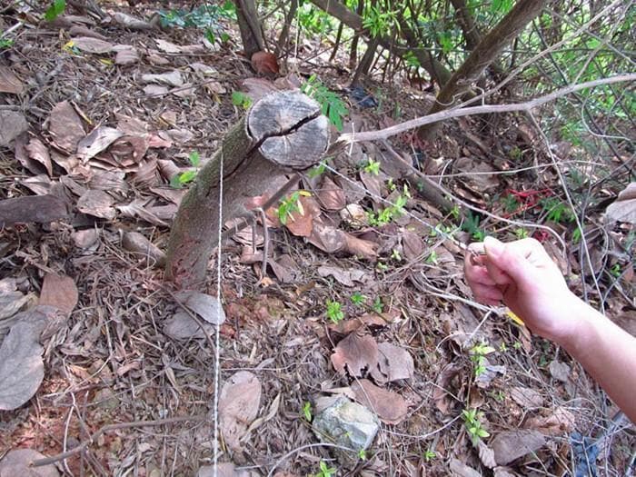🔥BUY 1 GET 1 FREE🔥 Survival Gear Stainless Steel Wire Saw-2