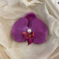 Schmetterling Orchidee Blume Haarspangen