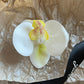 Schmetterling Orchidee Blume Haarspangen