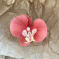 Schmetterling Orchidee Blume Haarspangen