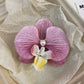 Schmetterling Orchidee Blume Haarspangen
