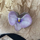 Schmetterling Orchidee Blume Haarspangen