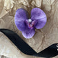 Schmetterling Orchidee Blume Haarspangen