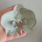 Schmetterling Orchidee Blume Haarspangen