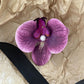Schmetterling Orchidee Blume Haarspangen