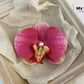 Schmetterling Orchidee Blume Haarspangen