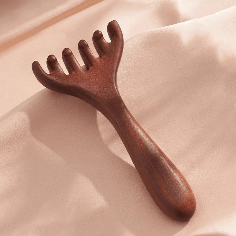 ⏳Begrenzte Zeit 50% Rabatt💥Meridian-Massagekamm mit sechs Krallen