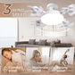 🌀53% OFF NOW! 💡 Ceiling Fan with E27 Socket – Silent 2-in-1 LED Fan with Remote Control – Cool & Light in One 🏠