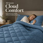 NOW! 3-Piece Quilted Comforter Set with Shams – All Season Cloud Soft Bedding Set, Diamond Quilted Bed Comforter for Bedroom Guest Room
