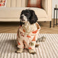Funny Festive Dog Hooded Sweater