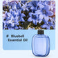 ✨ Automatic Aromatherapy Diffuser – Timed Spray, Dual Mount, Compact 🎁