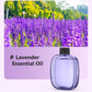 ✨ Automatic Aromatherapy Diffuser – Timed Spray, Dual Mount, Compact 🎁