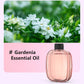 ✨ Automatic Aromatherapy Diffuser – Timed Spray, Dual Mount, Compact 🎁